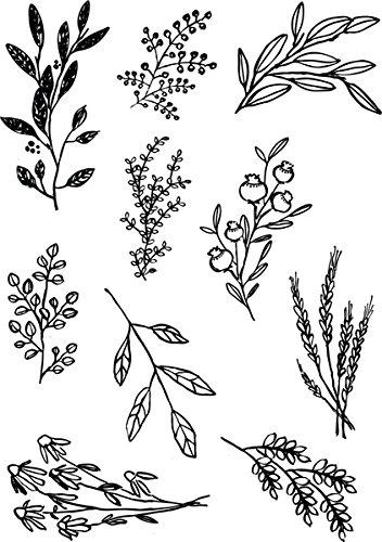 Prima Marketing 655350816544 Sweet Sprigs D‚cor Stamp 5"x7"