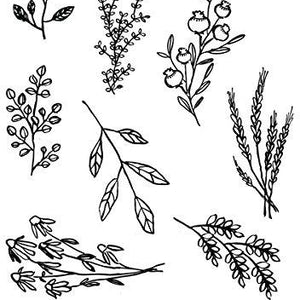 Prima Marketing 655350816544 Sweet Sprigs D‚cor Stamp 5"x7"
