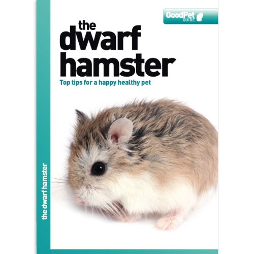 The Dwarf Hamster - Good Pet Guide