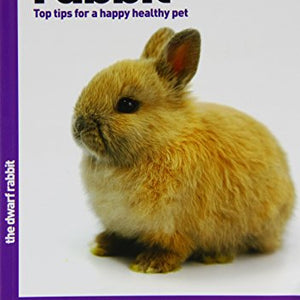 The Dwarf Rabbit - The Good Pet Guide
