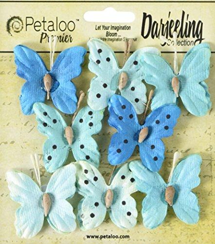 Petaloo Darjeeling Teastained Butterflies (8 Pack), 1.5", Teal