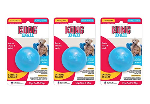 Kong Puppy Ball Small  | Gorpets