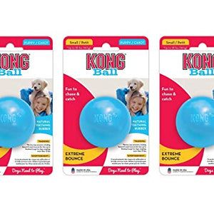 Kong Puppy Ball Small  | Gorpets