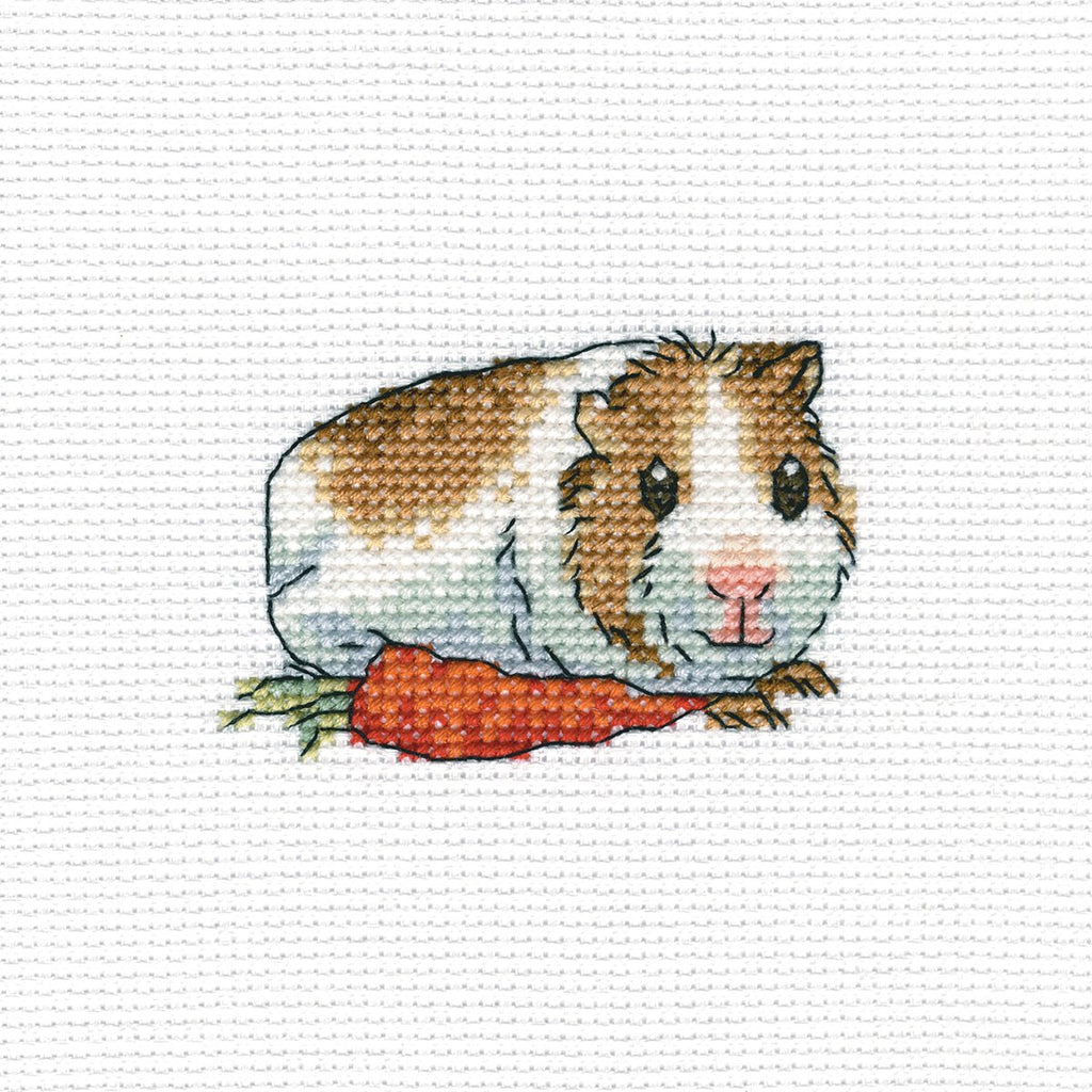 RTO H261 14 Count Cavy with Carrot Counted Cross Stitch Kit, 4" by 4", Multicolor