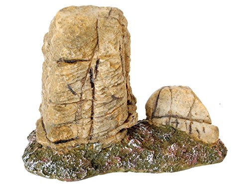 Terrarium Rock | Fadulla