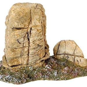 Terrarium Rock | Fadulla