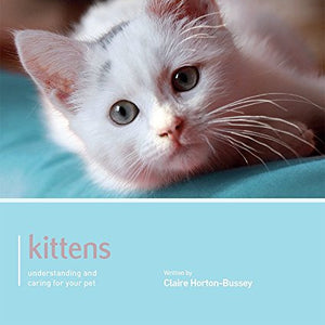 Kitten - Pet Friendly