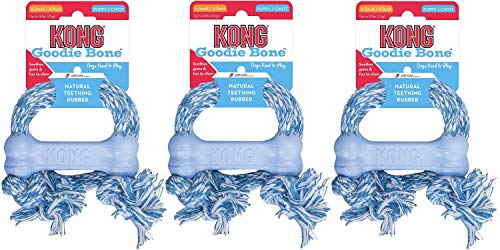 Kong Puppy Goodie Bone W/Rope X-Small (8Cm) Blue/Pink (Random Pick) | Gorpets