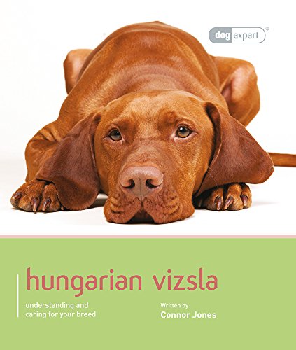 Hungarian Vizsla - Dog Expert