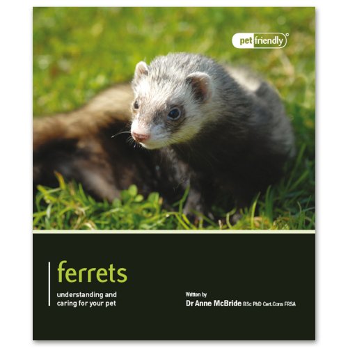 Ferret - Pet Friendly