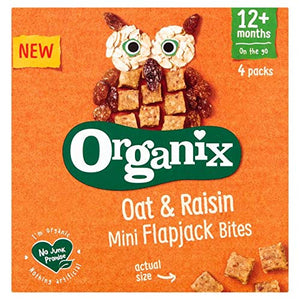 Organix Oat & Raisin Mini Flapjack Bites 4 x 20g