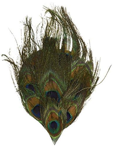 Peacock Eye Pad Feathers-