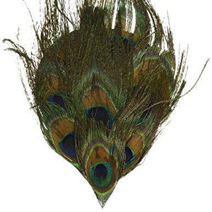 Peacock Eye Pad Feathers-