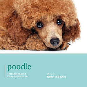 Poodle - Dog Expert