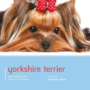 Yorkshire Terrier - Dog Expert