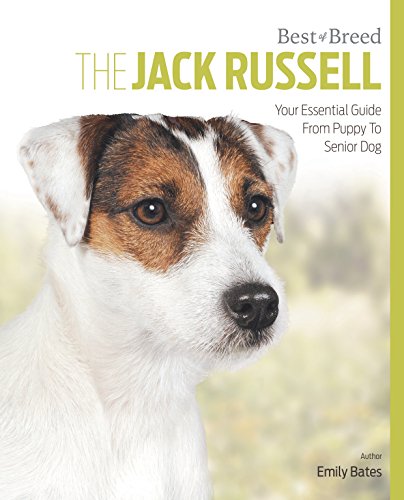 Jack Russell Best Of Breed - Paperback