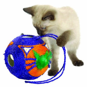 Tête A Tëte Orange