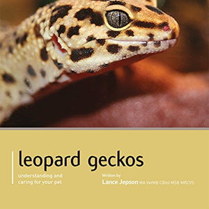 Leopard Gecko - Pet Expert