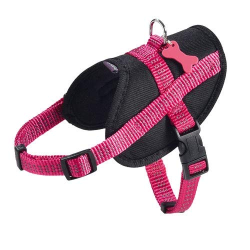 Harness Easy Safe Fuchsia M