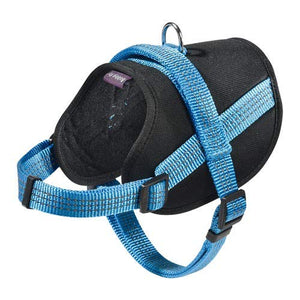 Harness Easy Safe Blue L