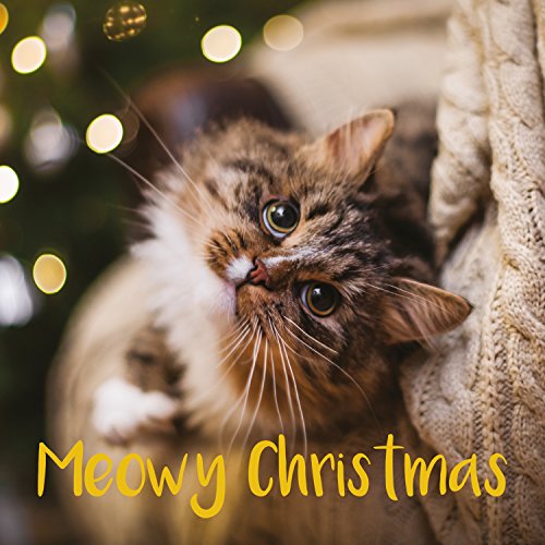 Meowy Christmas