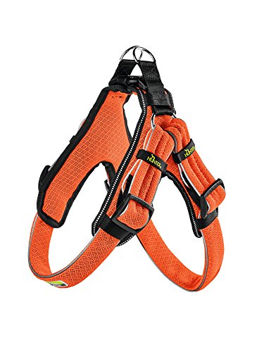 Harness Manoa Vario Quick Light Xl 75-85 Cm 33 Mm, Mesh Orange With Refl. Bise | Hunter