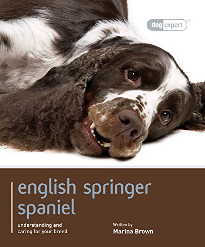 English Springer Spaniel - Dog Expert