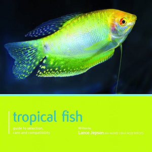 Tropical Fish - Pet Friendly