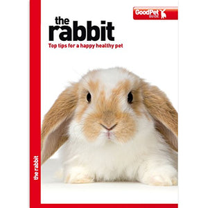 The Rabbit - The Good Pet Guide