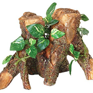 Trunk With Silk Cane Plant | Fadulla