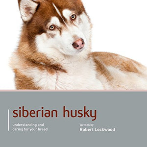 Siberian Husky - Dog Expert