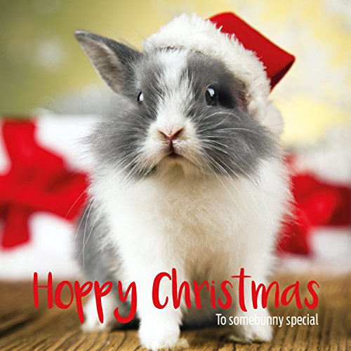 Hoppy Christmas To Somebunny Special