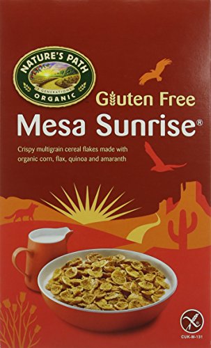 Nature's Path Organic Gluten Free Mesa Sunrise Cereal, 355 g