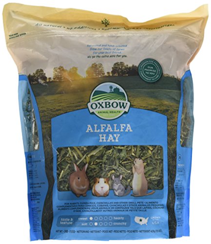 Oxbow Alfalfa Hay 425G | Petlife International Ltd
