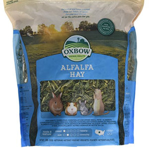 Oxbow Alfalfa Hay 425G | Petlife International Ltd