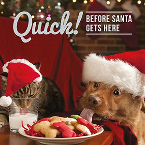 Quick Before Santa Gets Here