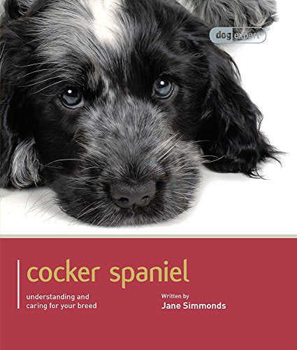 Cocker Spaniel - Dog Expert