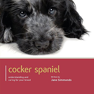 Cocker Spaniel - Dog Expert