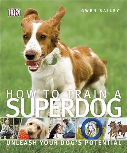 How To Train A Superdog - Mini