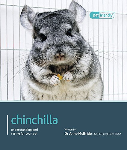 Chinchilla - Pet Friendly