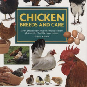Mini Encyclopedia Of Chicken Breeds And Care