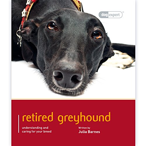 Greyhound - Dog Expert