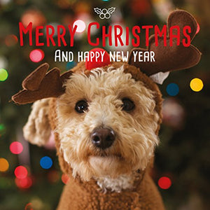 Merry Christmas And A Happy New Year