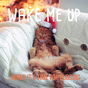 Wake Me Up When Its Time For Pudding