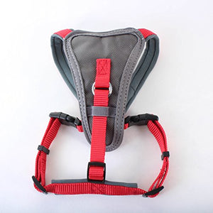 X-Over Harness Red Small | Doodlebone