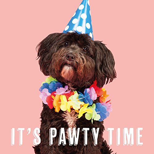 It'S Pawty Time