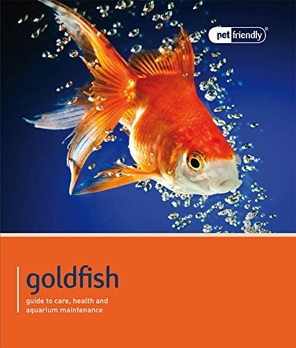 Goldfish - Pet Friendly