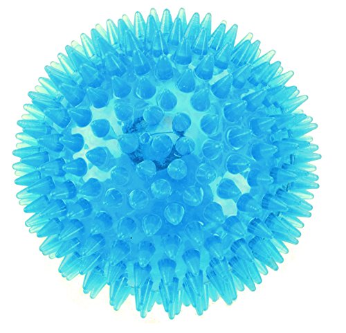 Gor Flex Bouncy Ball (7.5Cm) Blue/Red | Gor Pets