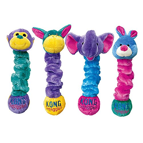 Kong Squiggles Medium (25Cm) | Gorpets