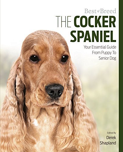 Cocker Spaniel Best Of Breed - Paperback